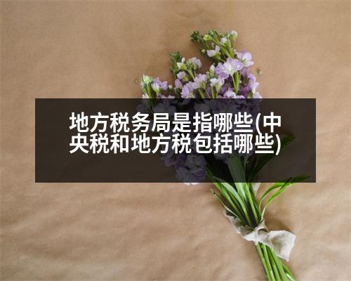 地方稅務(wù)局是指哪些(中央稅和地方稅包括哪些)