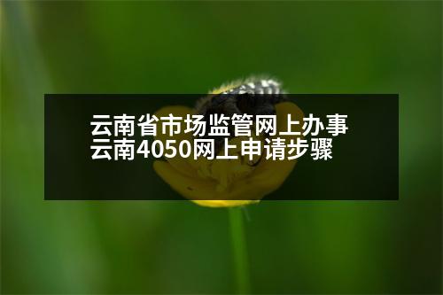 云南省市場監(jiān)管網(wǎng)上辦事 云南4050網(wǎng)上申請步驟