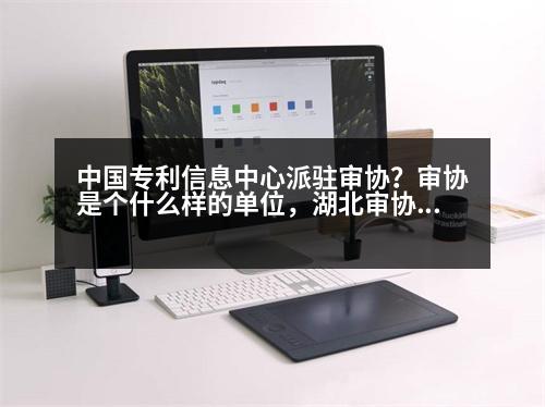 中國專利信息中心派駐審協(xié)？審協(xié)是個什么樣的單位，湖北審協(xié)呢