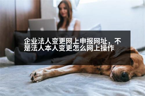 企業(yè)法人變更網上申報網址，不是法人本人變更怎么網上操作