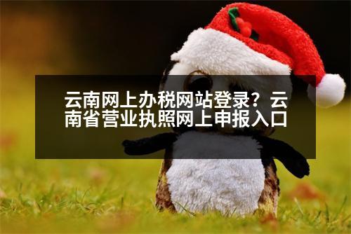 云南網(wǎng)上辦稅網(wǎng)站登錄？云南省營(yíng)業(yè)執(zhí)照網(wǎng)上申報(bào)入口
