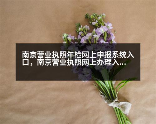 南京營業(yè)執(zhí)照年檢網(wǎng)上申報(bào)系統(tǒng)入口，南京營業(yè)執(zhí)照網(wǎng)上辦理入口