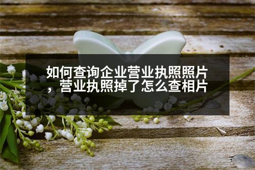 如何查詢(xún)企業(yè)營(yíng)業(yè)執(zhí)照照片，營(yíng)業(yè)執(zhí)照掉了怎么查相片