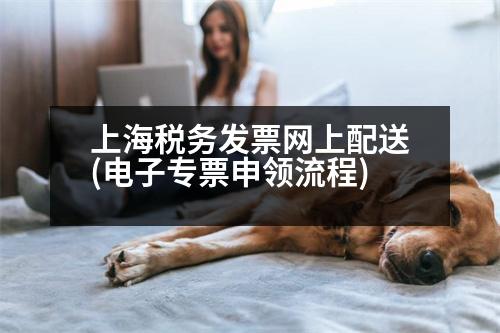 上海稅務(wù)發(fā)票網(wǎng)上配送(電子專(zhuān)票申領(lǐng)流程)