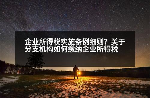 企業(yè)所得稅實施條例細(xì)則？關(guān)于分支機構(gòu)如何繳納企業(yè)所得稅