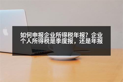 如何申報(bào)企業(yè)所得稅年報(bào)？企業(yè)個(gè)人所得稅是季度報(bào)，還是年報(bào)