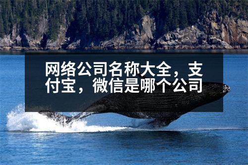 網(wǎng)絡(luò)公司名稱大全，支付寶，微信是哪個(gè)公司