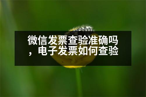微信發(fā)票查驗準(zhǔn)確嗎，電子發(fā)票如何查驗