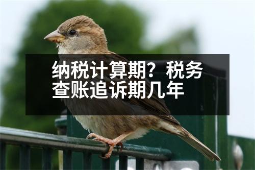 納稅計(jì)算期？稅務(wù)查賬追訴期幾年