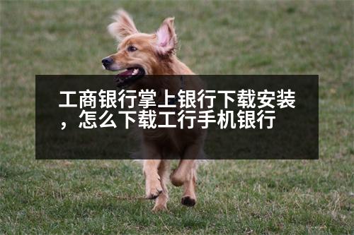 工商銀行掌上銀行下載安裝，怎么下載工行手機(jī)銀行