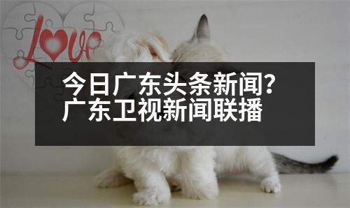 今日廣東頭條新聞？廣東衛(wèi)視新聞聯(lián)播