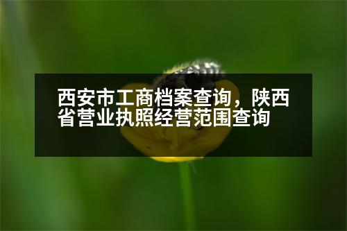 西安市工商檔案查詢，陜西省營業(yè)執(zhí)照經(jīng)營范圍查詢