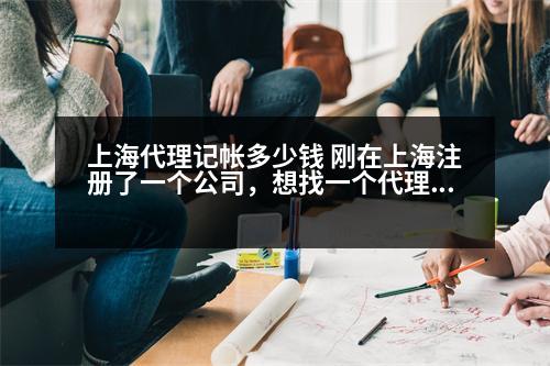 上海代理記帳多少錢 剛在上海注冊了一個公司，想找一個代理記賬的公司，不知道收費(fèi)標(biāo)準(zhǔn)是多少