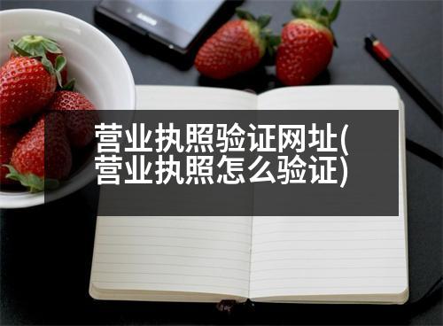 營業(yè)執(zhí)照驗(yàn)證網(wǎng)址(營業(yè)執(zhí)照怎么驗(yàn)證)
