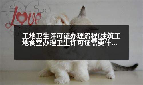 工地衛(wèi)生許可證辦理流程(建筑工地食堂辦理衛(wèi)生許可證需要什么手續(xù))