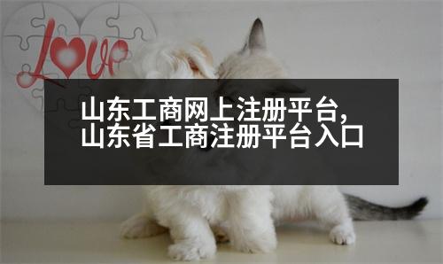 山東工商網(wǎng)上注冊(cè)平臺(tái),山東省工商注冊(cè)平臺(tái)入口