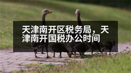 天津南開區(qū)稅務局，天津南開國稅辦公時間