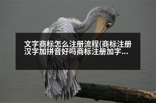 文字商標(biāo)怎么注冊(cè)流程(商標(biāo)注冊(cè)漢字加拼音好嗎商標(biāo)注冊(cè)加字有什么技巧嗎)