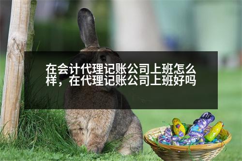 在會計代理記賬公司上班怎么樣，在代理記賬公司上班好嗎
