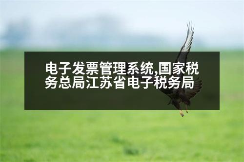 電子發(fā)票管理系統(tǒng),國家稅務總局江蘇省電子稅務局