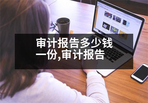 審計報告多少錢一份,審計報告