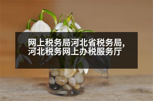 網(wǎng)上稅務(wù)局河北省稅務(wù)局,河北稅務(wù)網(wǎng)上辦稅服務(wù)廳