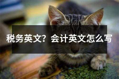 稅務(wù)英文？會(huì)計(jì)英文怎么寫