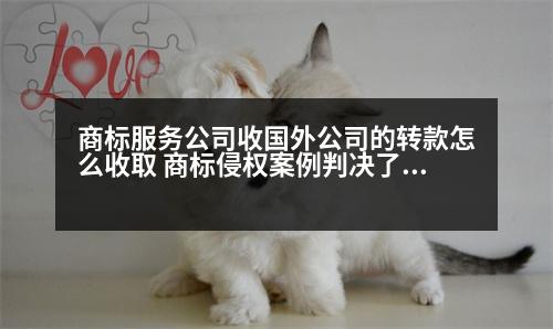 商標服務公司收國外公司的轉(zhuǎn)款怎么收取 商標侵權(quán)案例判決了怎么交罰款