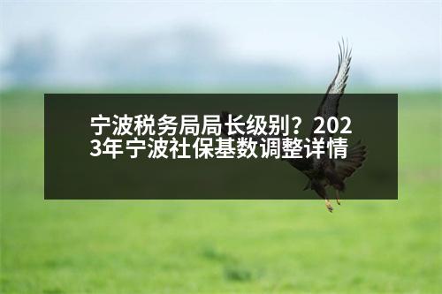 寧波稅務(wù)局局長(zhǎng)級(jí)別？2023年寧波社?；鶖?shù)調(diào)整詳情
