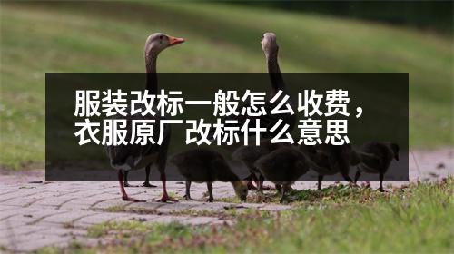 服裝改標(biāo)一般怎么收費(fèi)，衣服原廠改標(biāo)什么意思