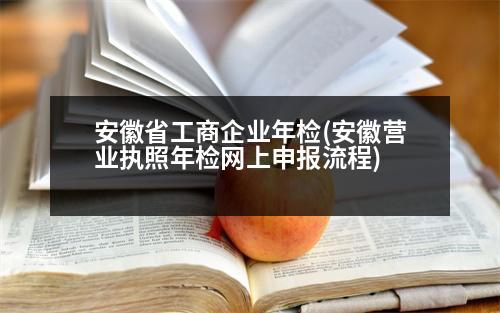 安徽省工商企業(yè)年檢(安徽營業(yè)執(zhí)照年檢網(wǎng)上申報流程)