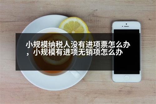 小規(guī)模納稅人沒有進項票怎么辦，小規(guī)模有進項無銷項怎么辦