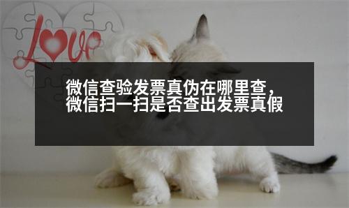 微信查驗(yàn)發(fā)票真?zhèn)卧谀睦锊?，微信掃一掃是否查出發(fā)票真假