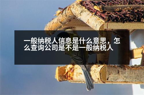 一般納稅人信息是什么意思，怎么查詢公司是不是一般納稅人