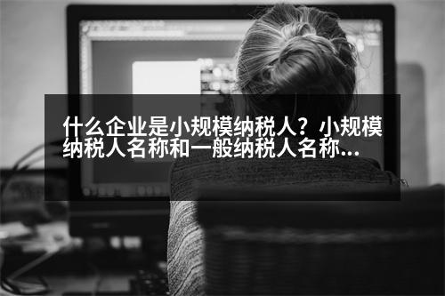 什么企業(yè)是小規(guī)模納稅人？小規(guī)模納稅人名稱和一般納稅人名稱后面都是“公司”嗎