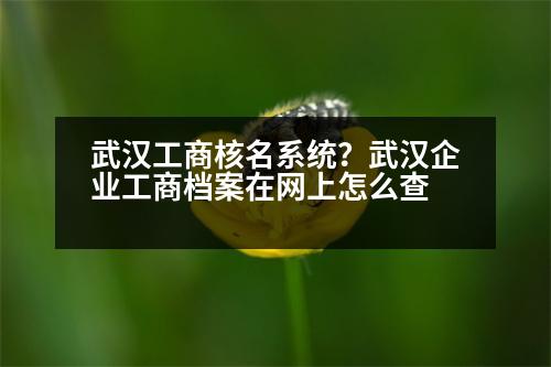 武漢工商核名系統(tǒng)？武漢企業(yè)工商檔案在網(wǎng)上怎么查